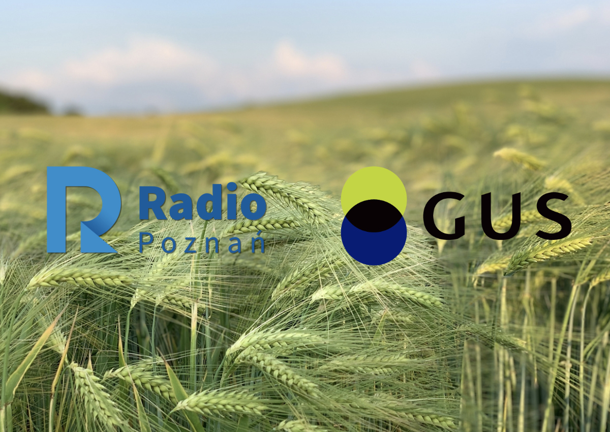 konkurs powszechny spis rolny radio poznan gus - Radio Poznań