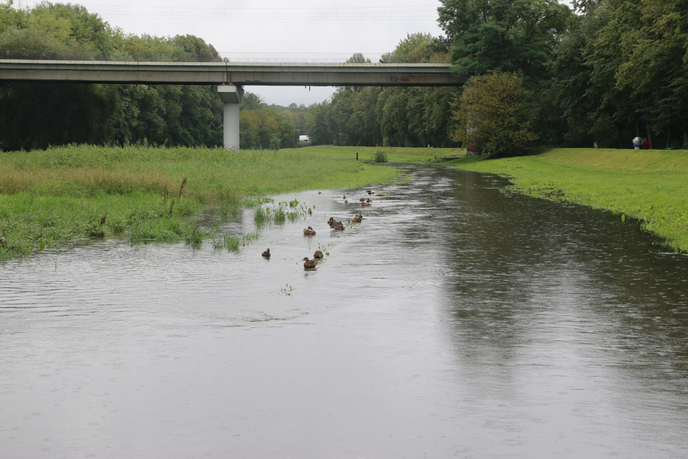 rzeka bogdanka wylewa - Leon Bielewicz