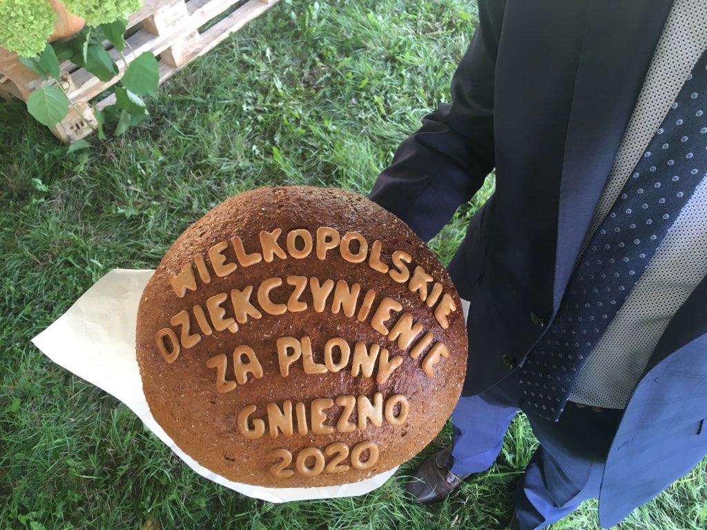 dożynki gniezno - Rafał Muniak