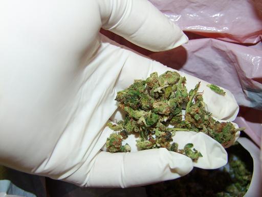 Zatrzymania dilerów narkotykowych w Poznaniu - Policja/Poznań