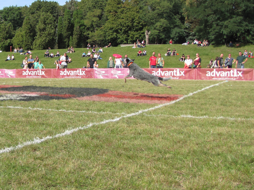 Cytadela latające psy - Leon Bielewicz