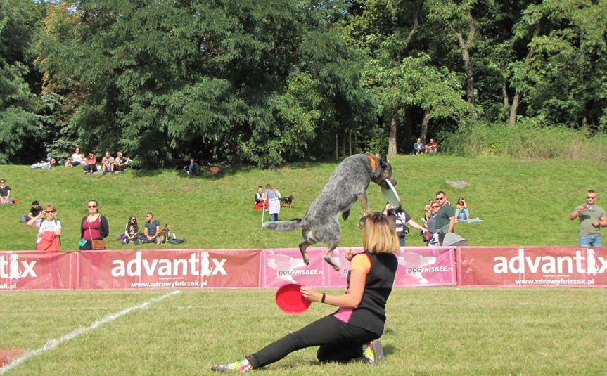 latające psy cytadela - Leon Bielewicz