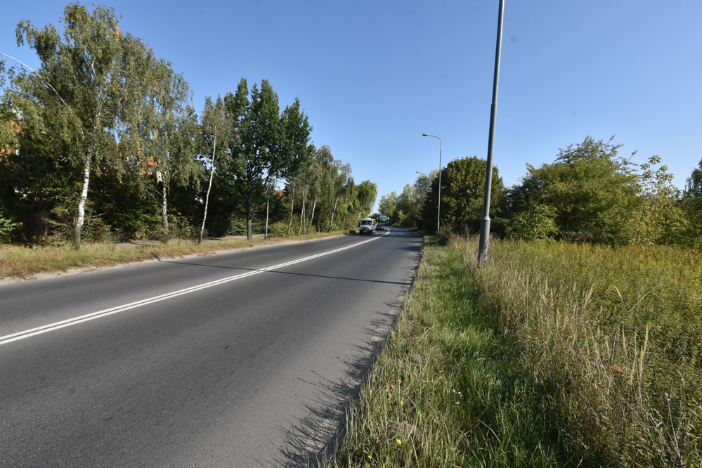 wycinka drzew kurlandzka  - Wojtek Wardejn