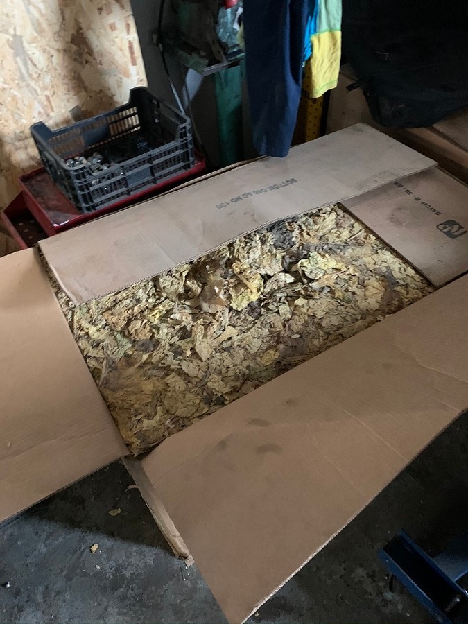 Wielkopolska Policja 