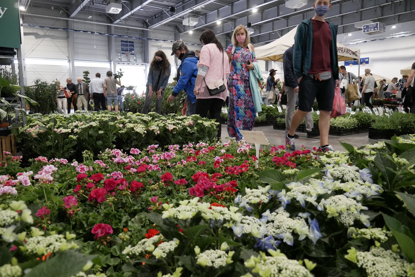 Jesienny Targ Ogrodniczy - FB: Międzynarodowe Targi Poznańskie