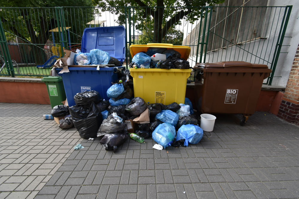 śmieci szkoła kubły kosze - Wojtek Wardejn