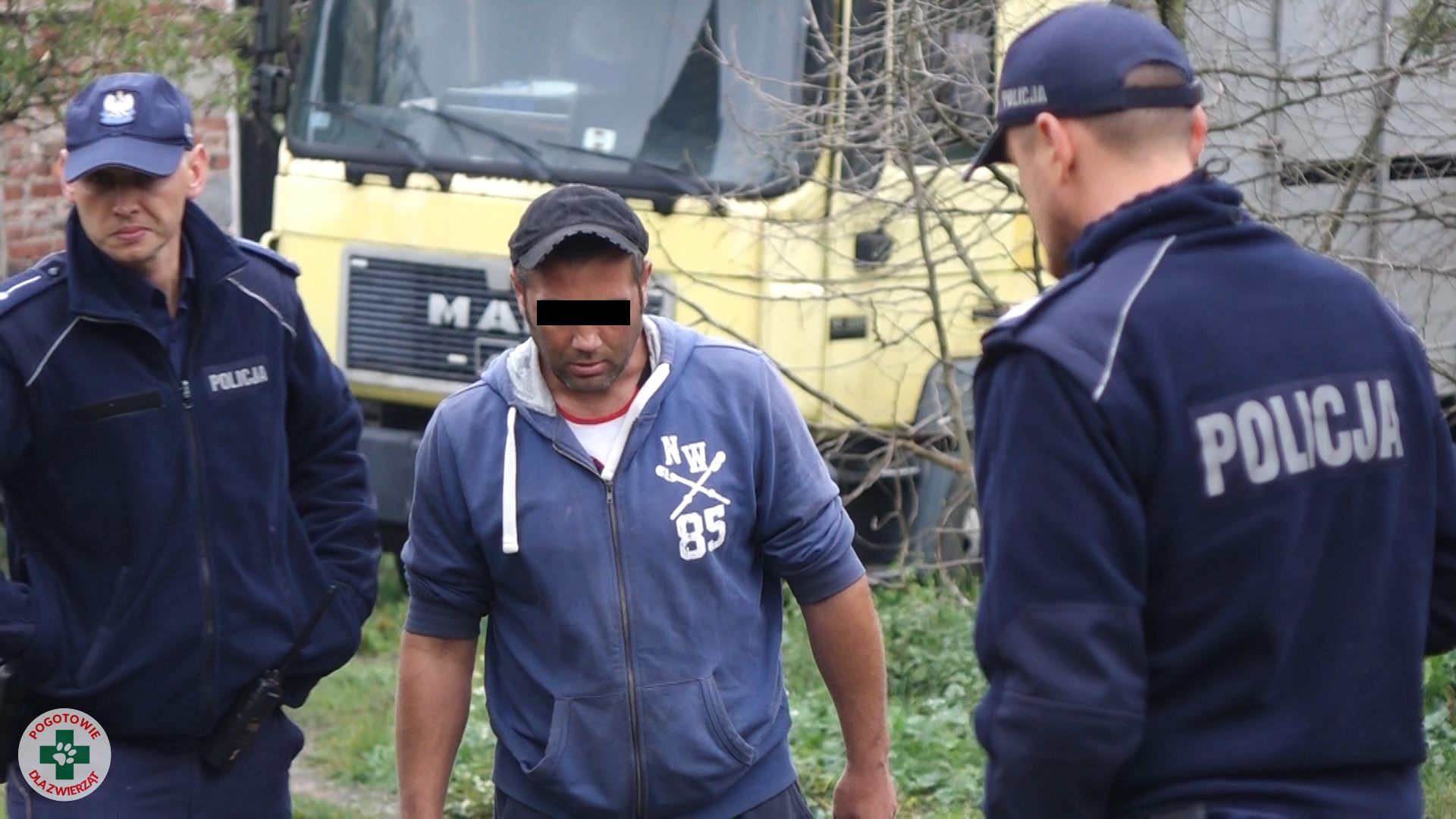 Pogotowia dla Zwierząt