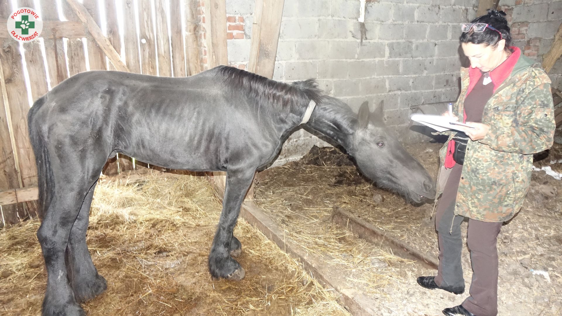 Pogotowia dla Zwierząt