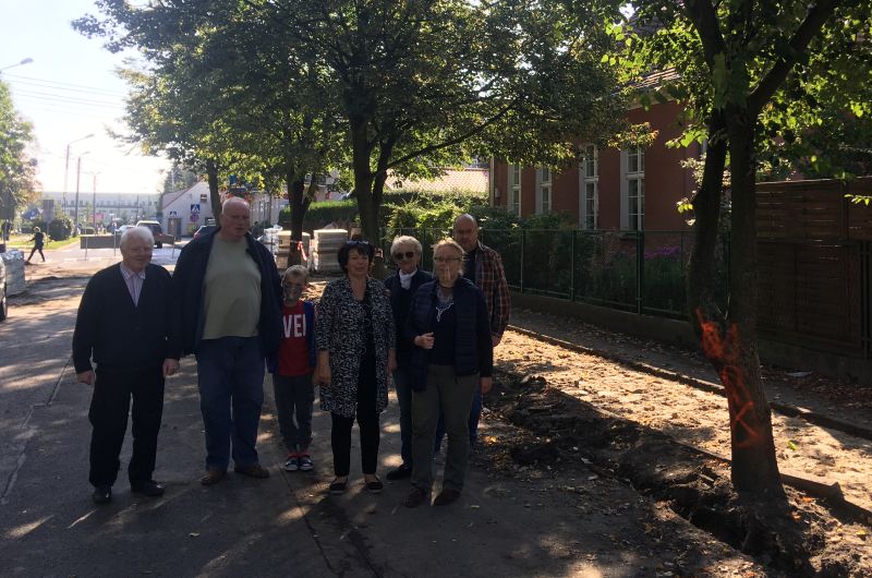 drzewa lipy środa - Rafał Regulski