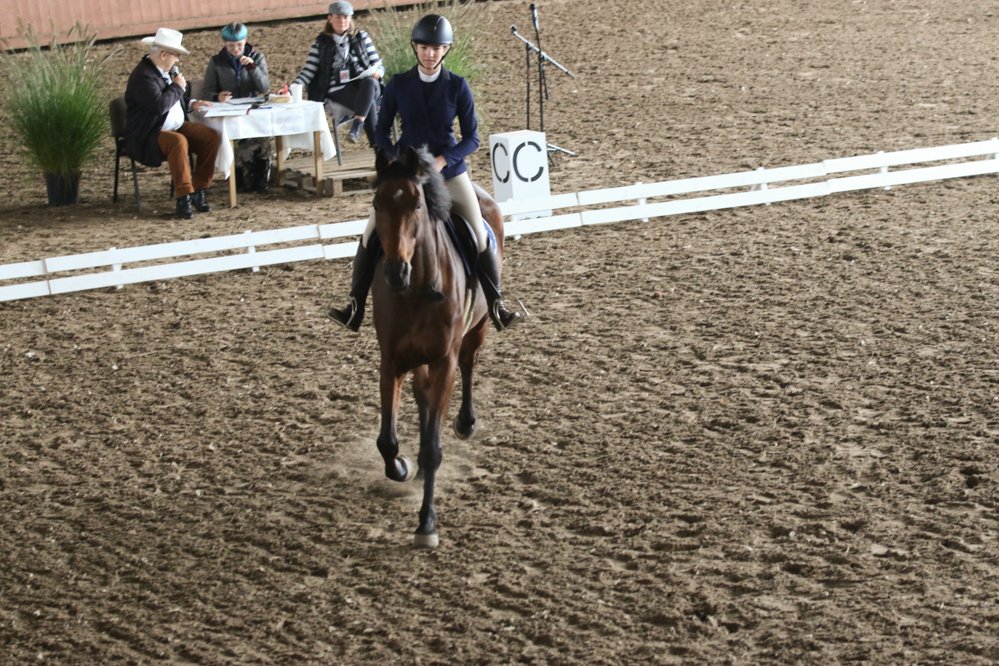 myśląc o koniu hipodrom wola - Leon Bielewicz