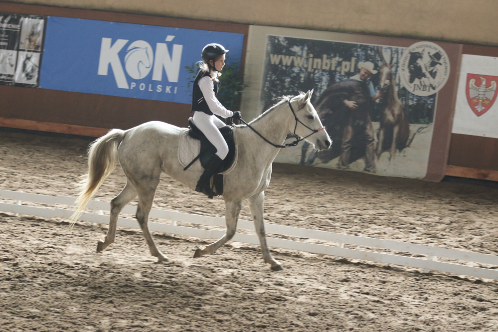 myśląc o koniu hipodrom wola - Leon Bielewicz