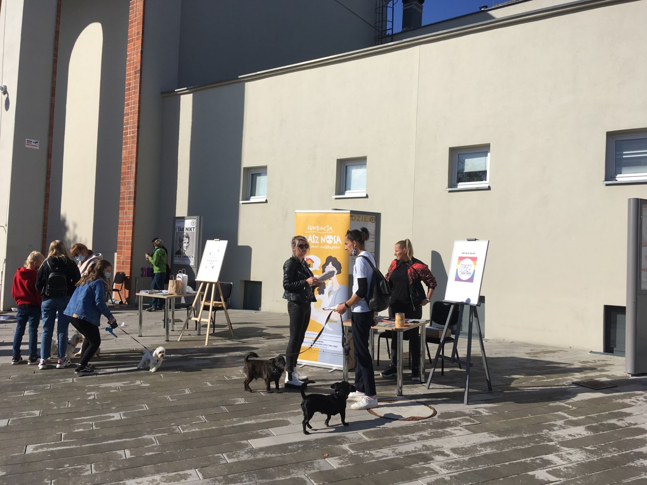 schronisko adopcja psy - Rafał Muniak