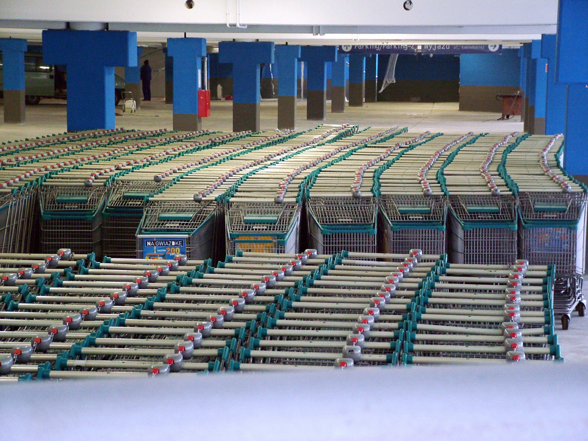 wózek sklepowy zakupy  - Wojtek Wardejn