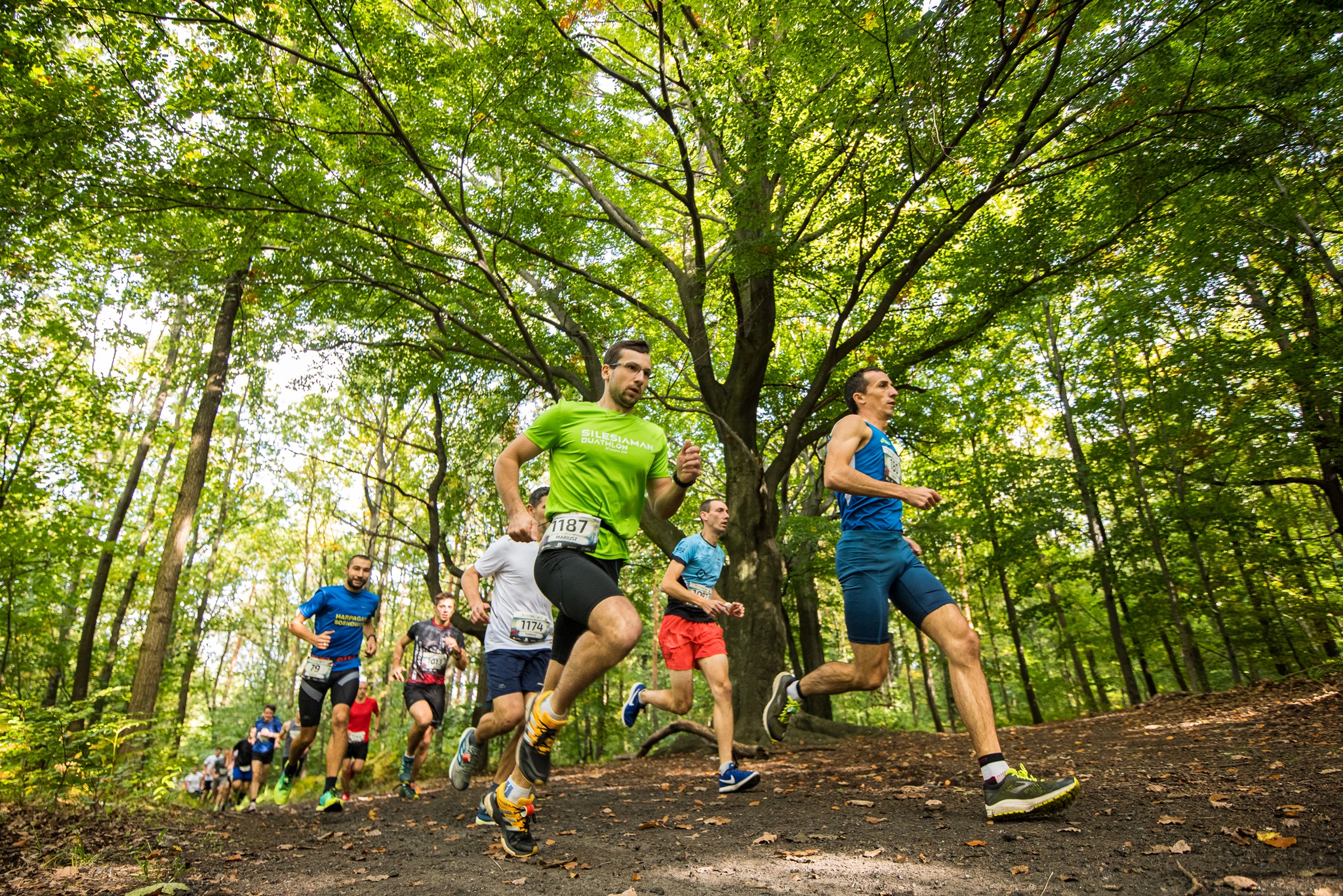 city trail - City Trail