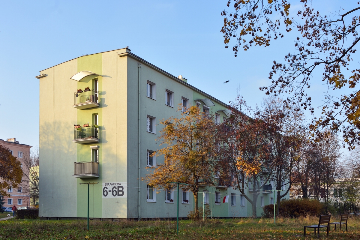 stowarzyszenie zielona grupa dębiec - Julia Spychała