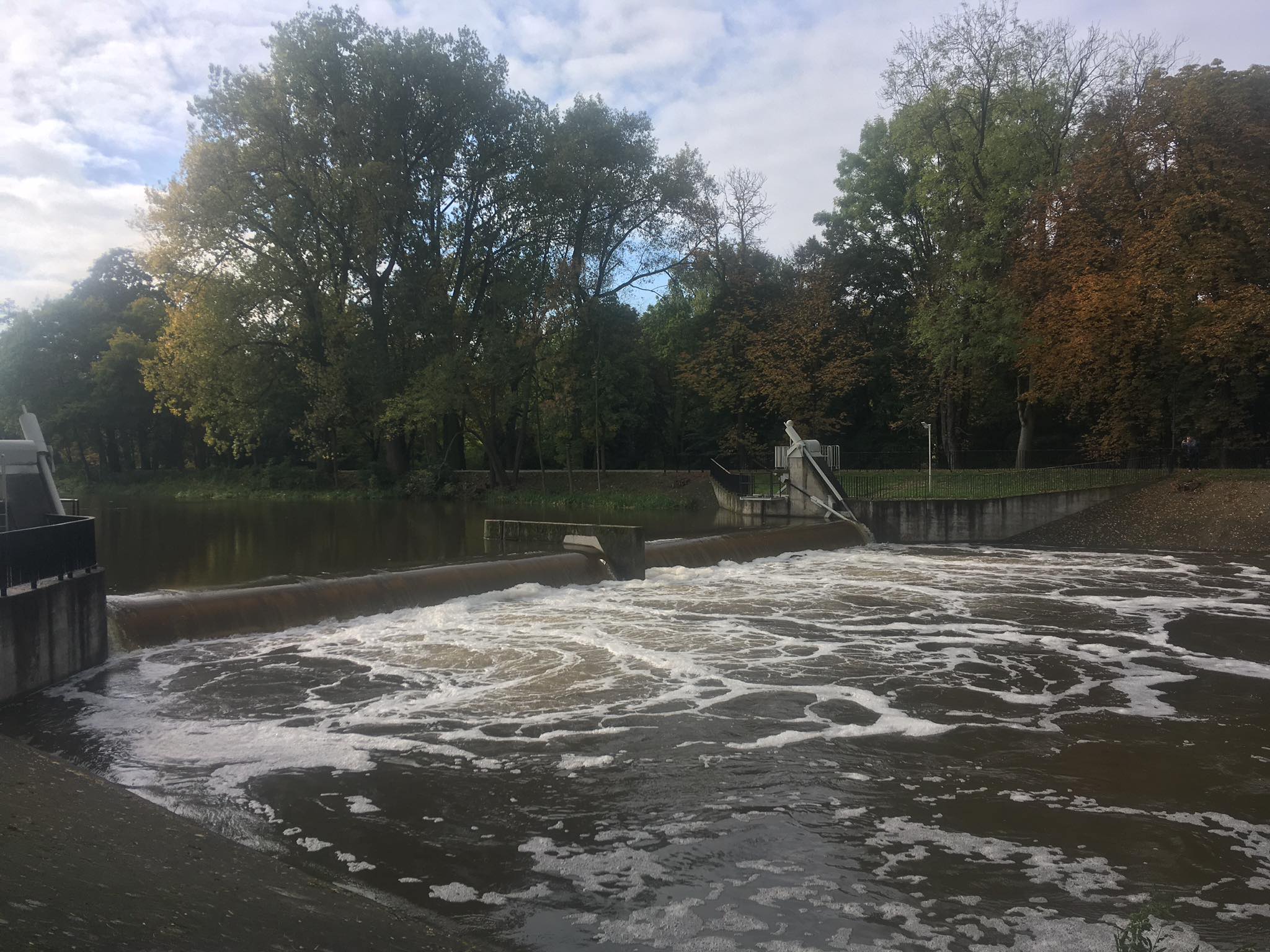 prosna wysoki poziom - Danuta Synkiewicz