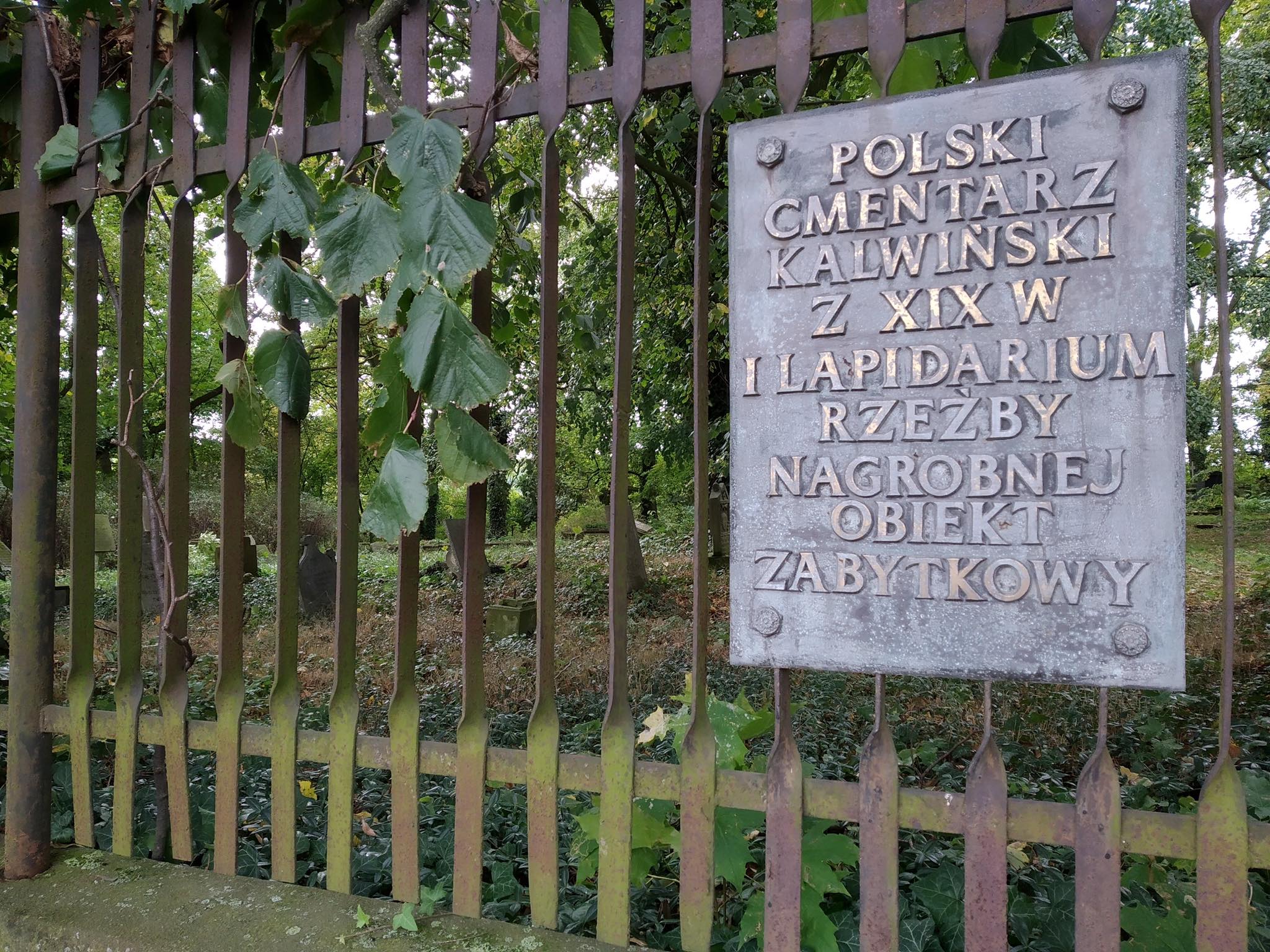 cmentarz orzeszkowo - Kacper Witt