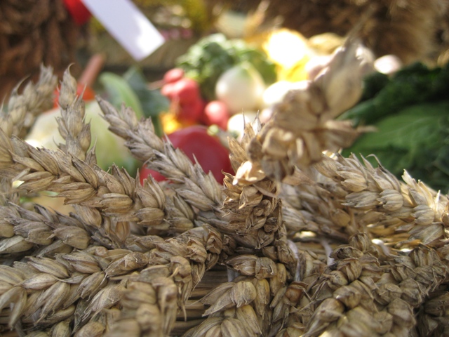 dozynkowy klos - Rafał Regulski