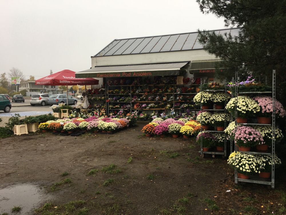 zamknięte cmentarze - Adam Michalkiewicz