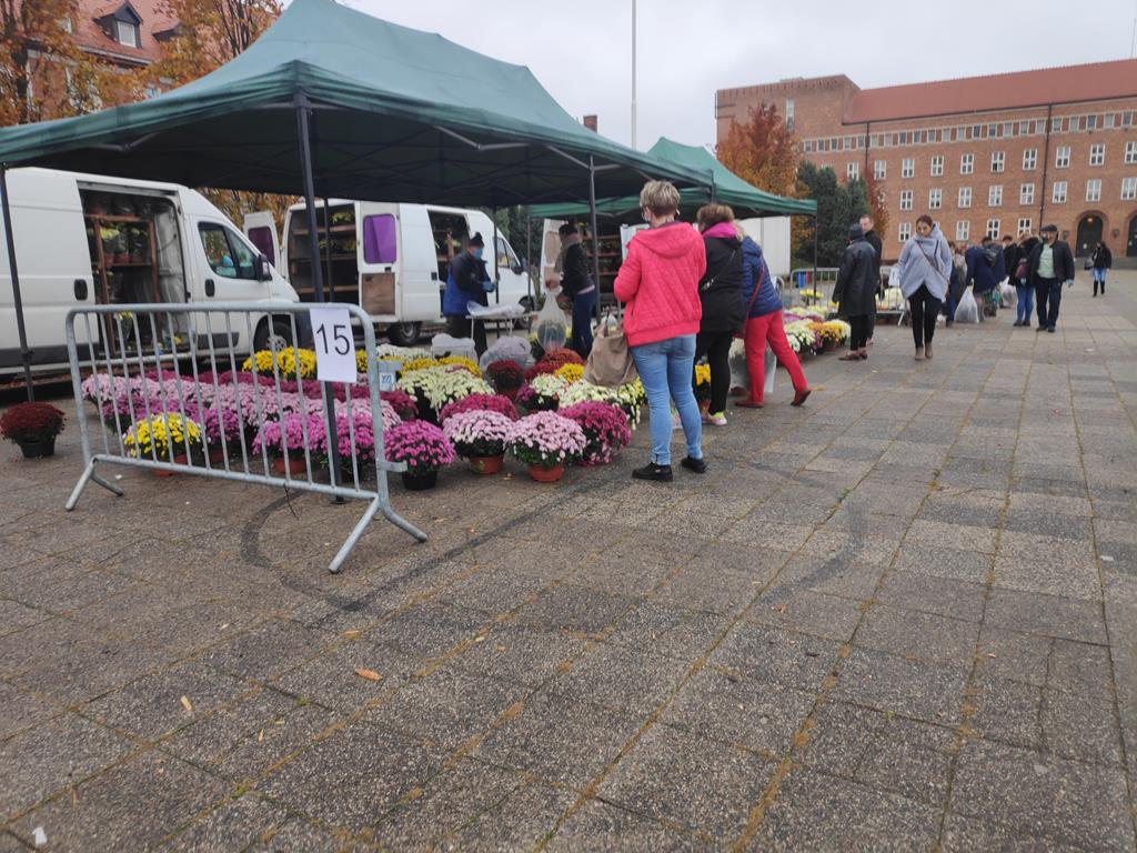 targ chryzantemowy piła - Przemysław Stochaj