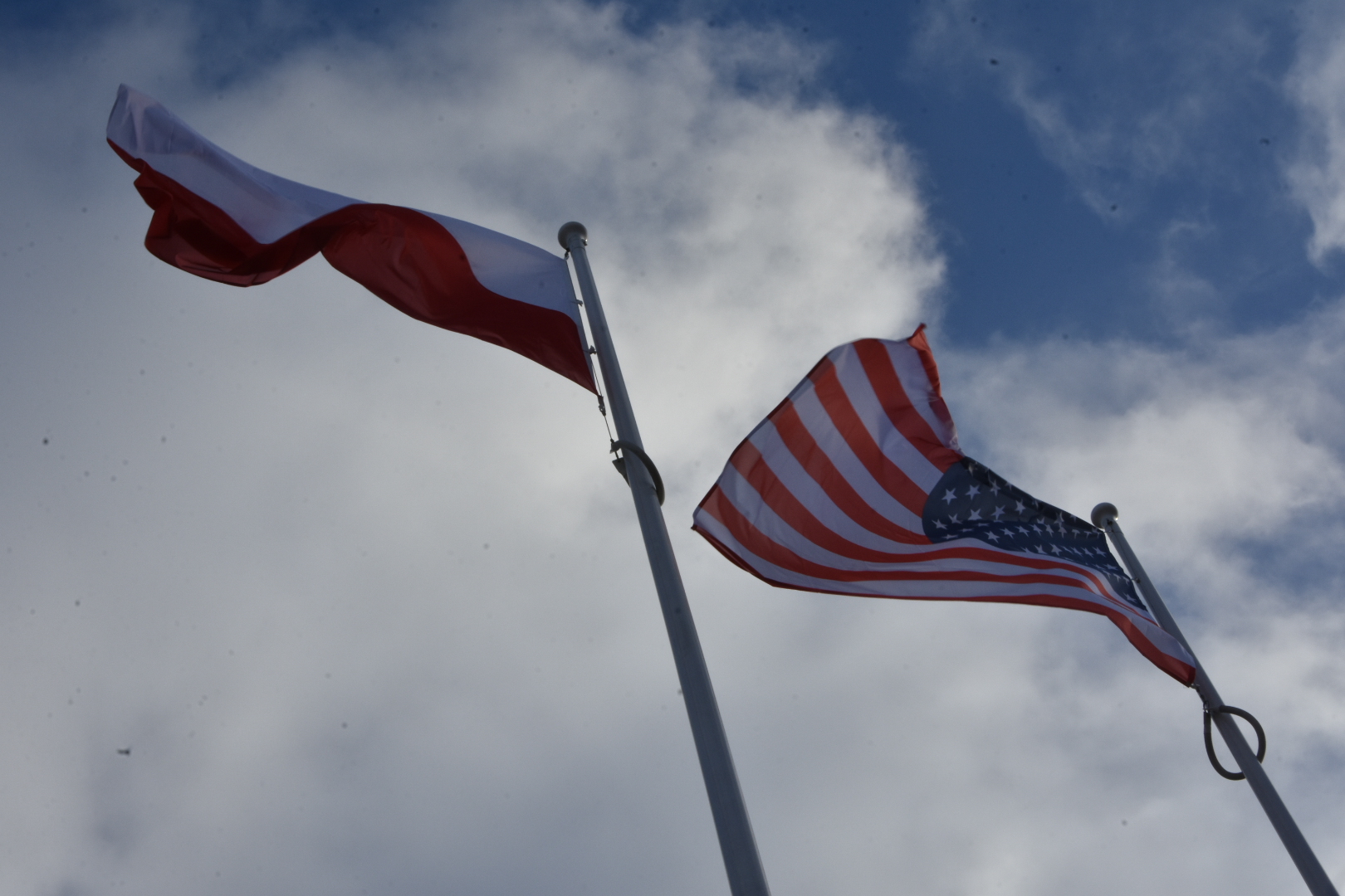 Dowództwo V Korpusu Sił Lądowych USA - Wojtek Wardejn