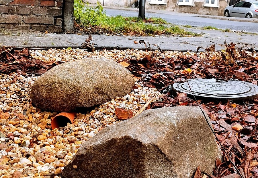 kalisz ogród deszczowy - www.kalisz.pl