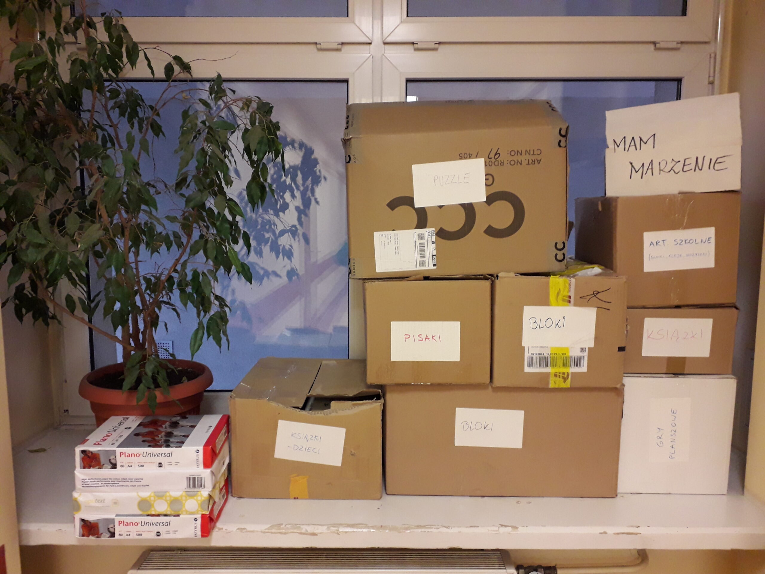 dzień pluszowego misia prezenty  - mammarzenie.org