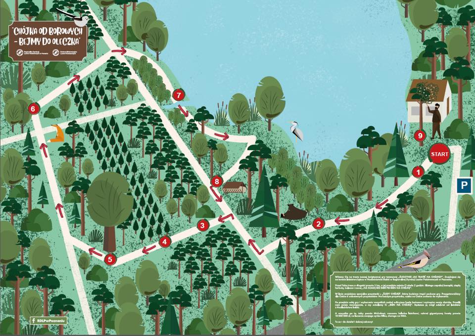 chojkaodborowych.pl - chojkaodborowych.pl