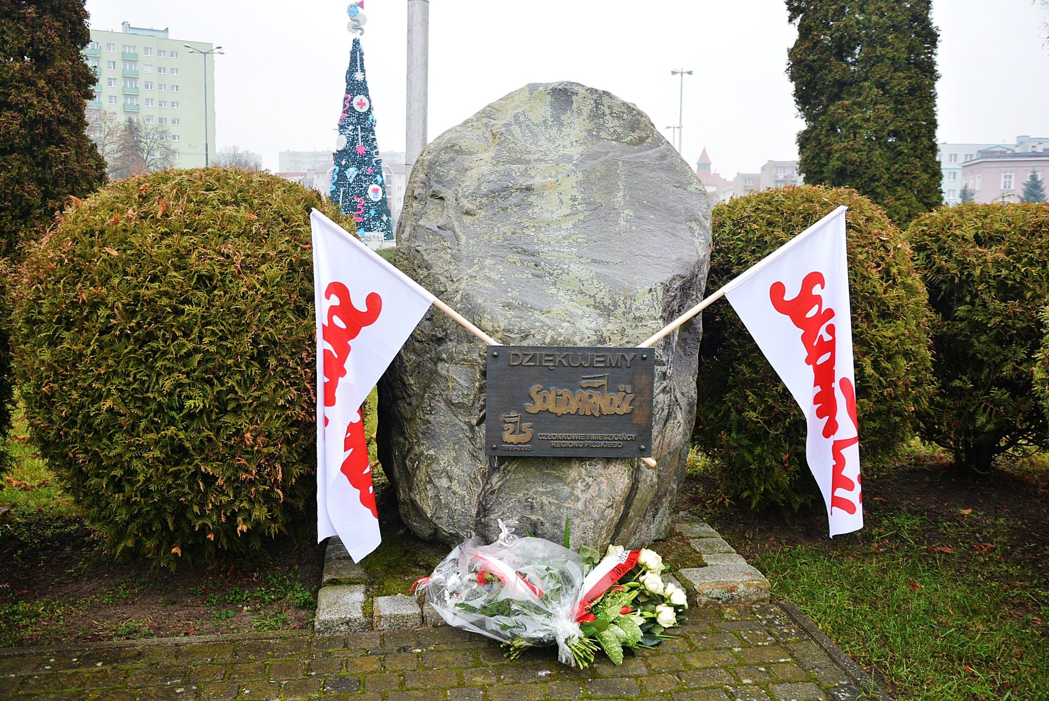 Sebastian Daukszewicz/Tętno Regionu