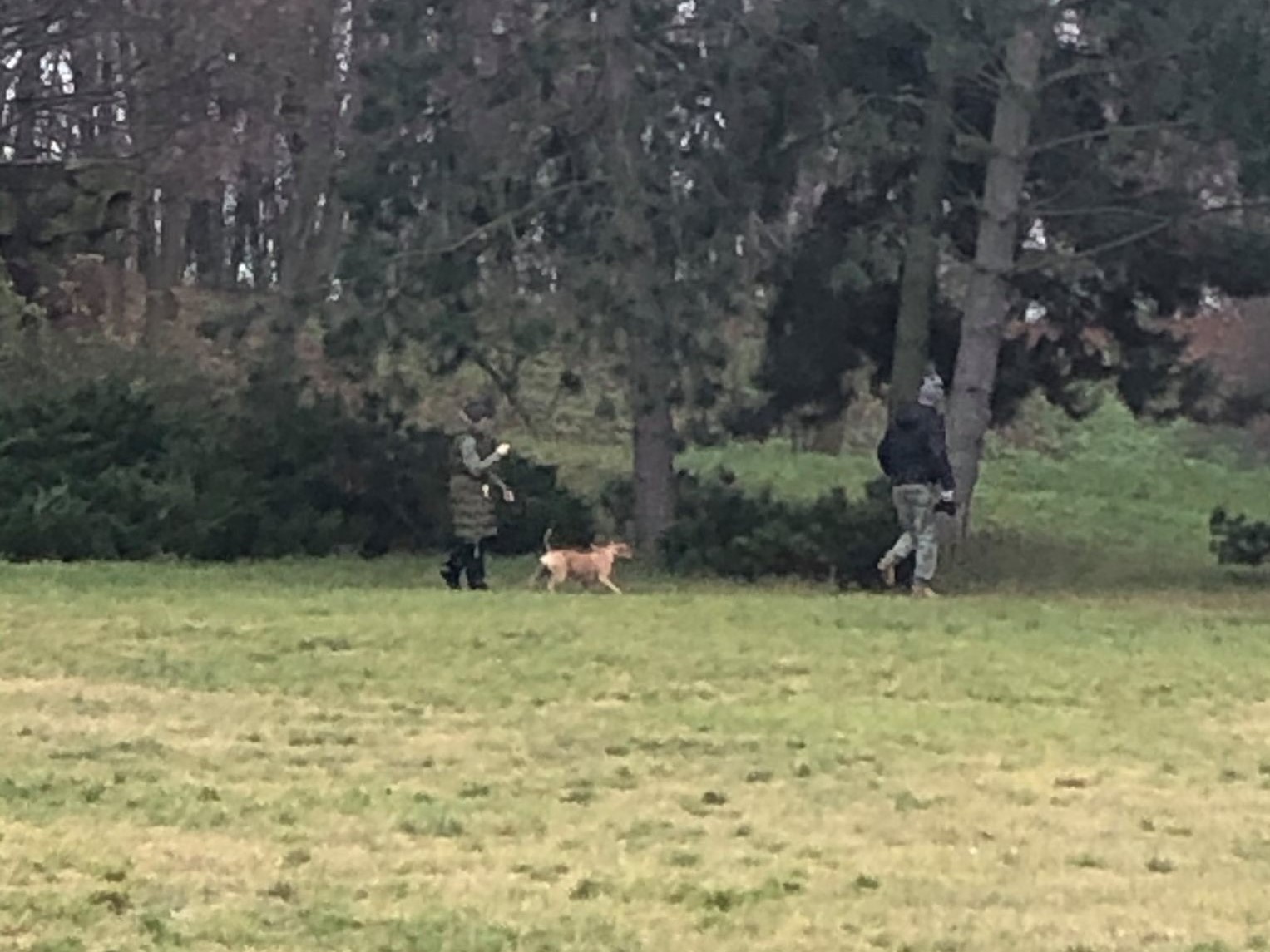 kobieta pobita przy cytadeli  - FB: Krysian Kowalski