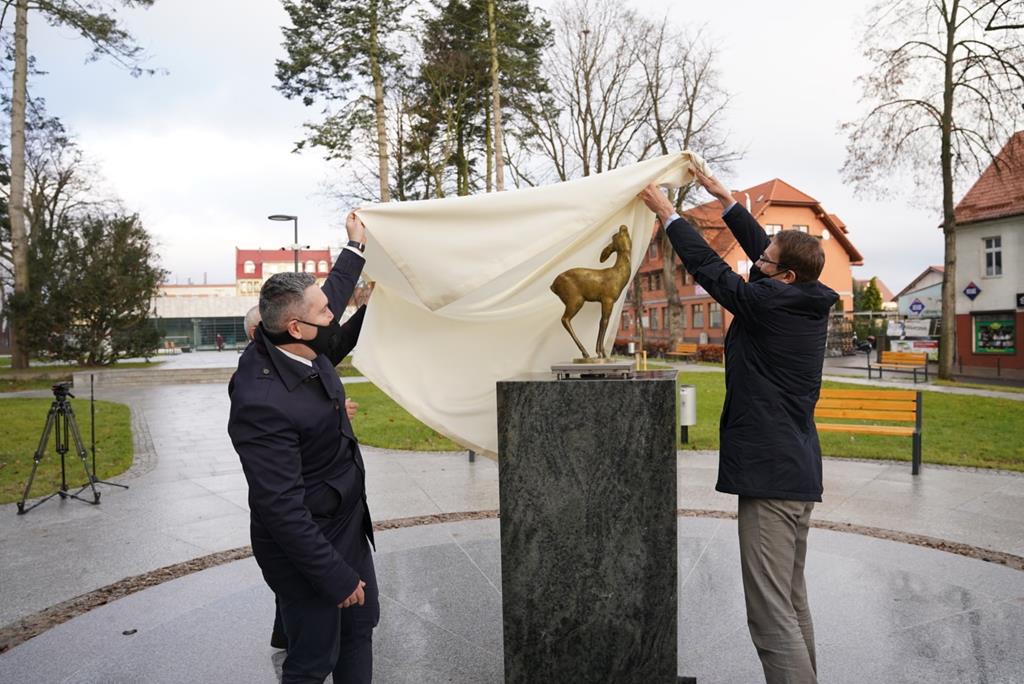 FB: miasta i gminy Trzcianka