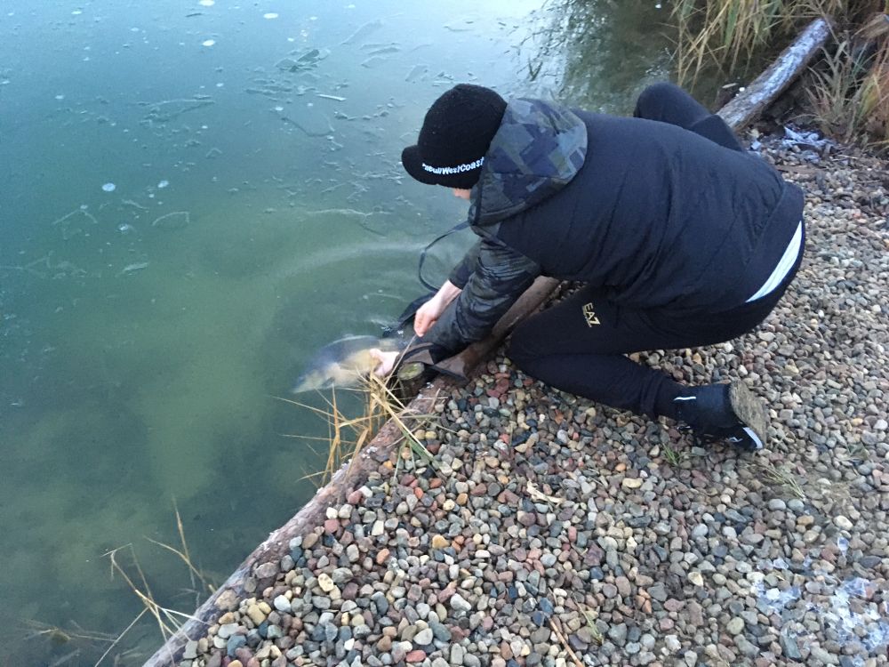 wypuść karpia - Jacek Marciniak