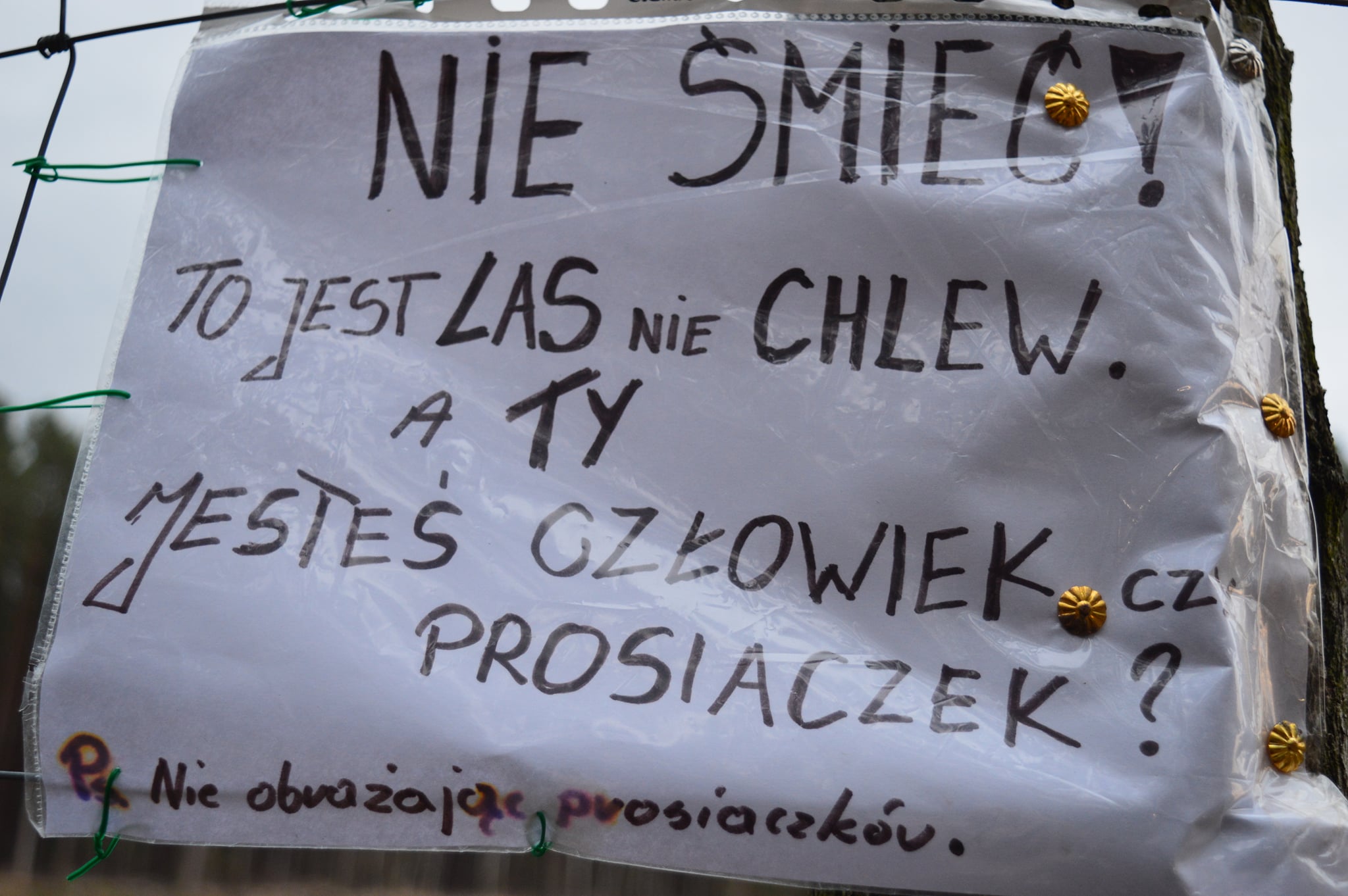 śmieci las kartka - Nadleśnictwo Sieraków