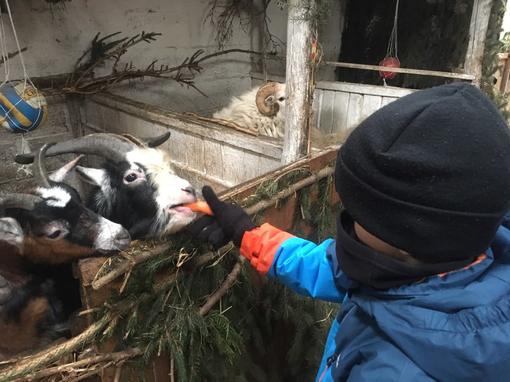 żywa szopka gniezno pawłowo - Rafał Muniak - Radio Poznań