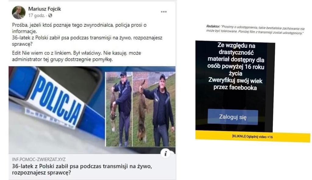 hakerzy psi morderca - Wielkopolska Policja