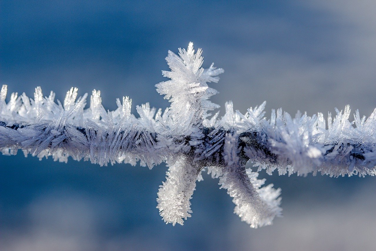 mróz przymrozek zima - Pixabay