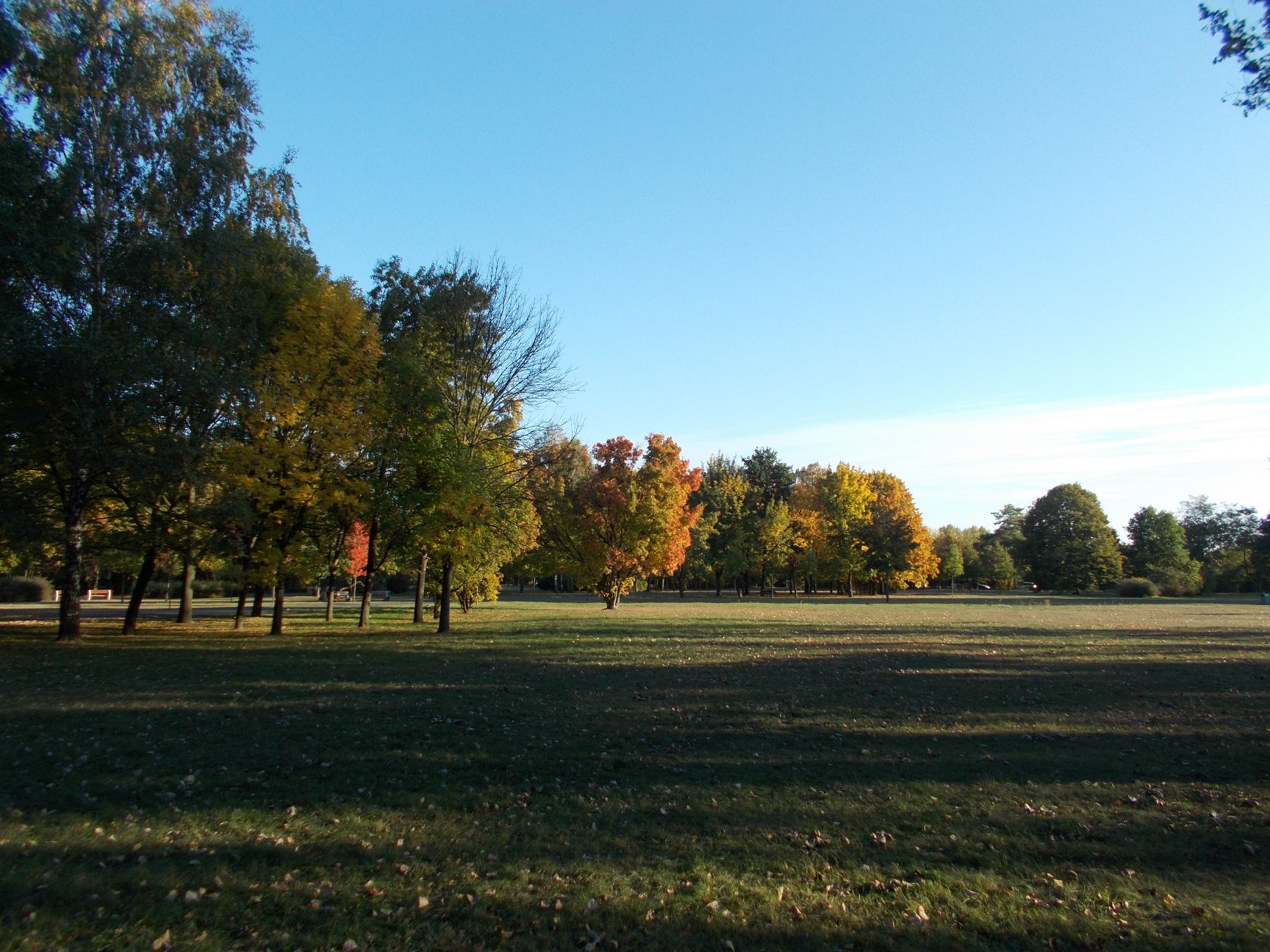 park im jana pawła ii - Rada Osiedla Wilda