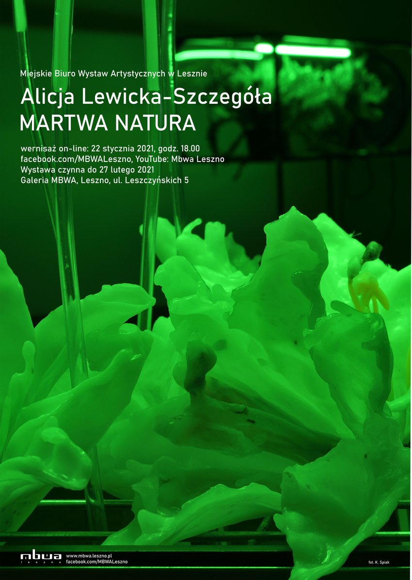 martwa natura leszno - www.leszno.pl