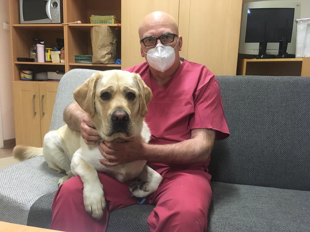 Pies walczy z pandemią w jarocińskim szpitalu - Rafał Regulski