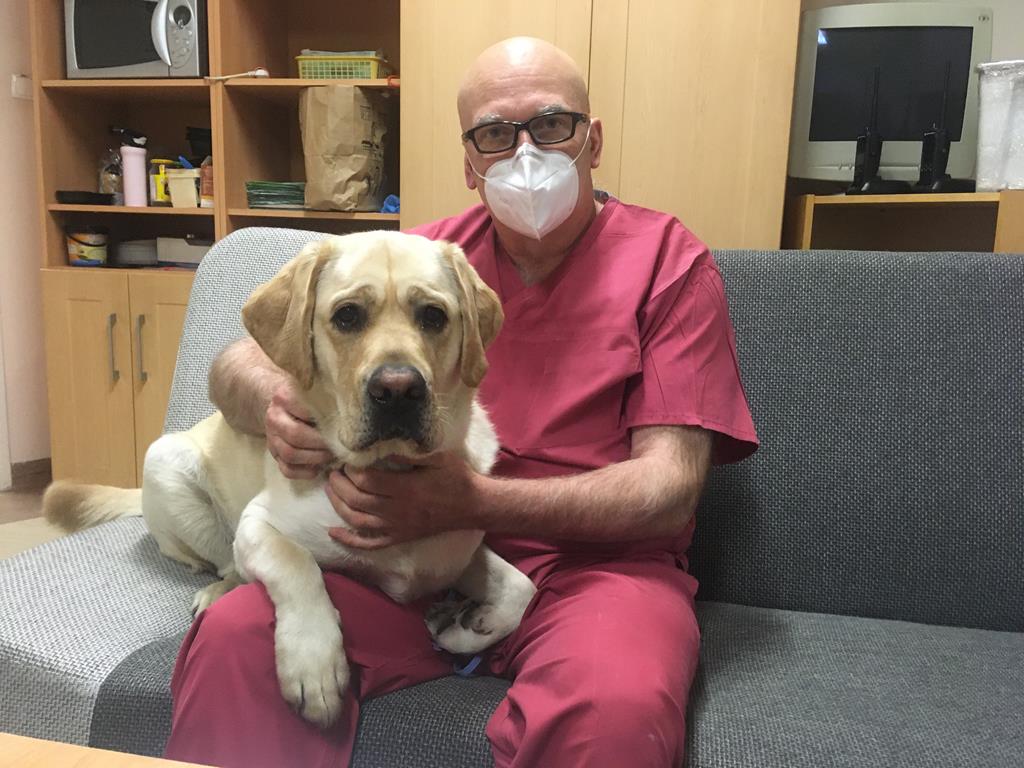 Pies walczy z pandemią w jarocińskim szpitalu - Rafał Regulski