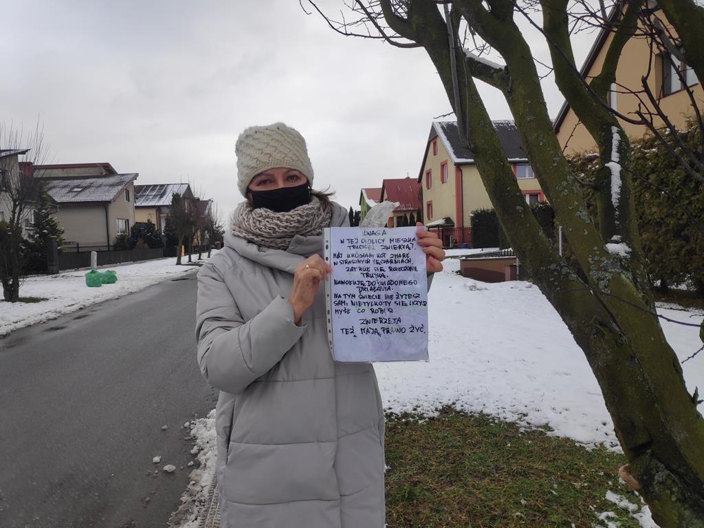 truciciel zwierząt kaczory - Przemysław Stochaj