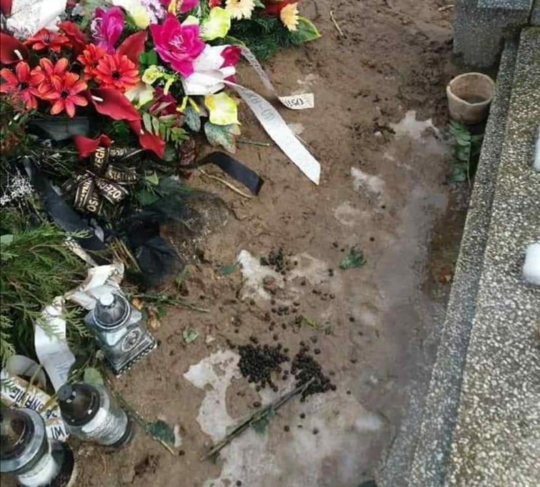 ujście cmentarz zwierzęta - Agnieszka Kacban