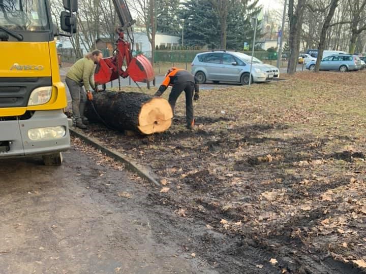 cyatdela blokada cytadela kłody park cytadela - Halina Owsianna
