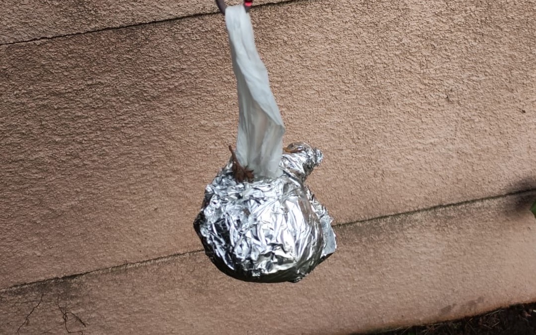 amfetamina bomki - KPP w Środzie Wlkp.