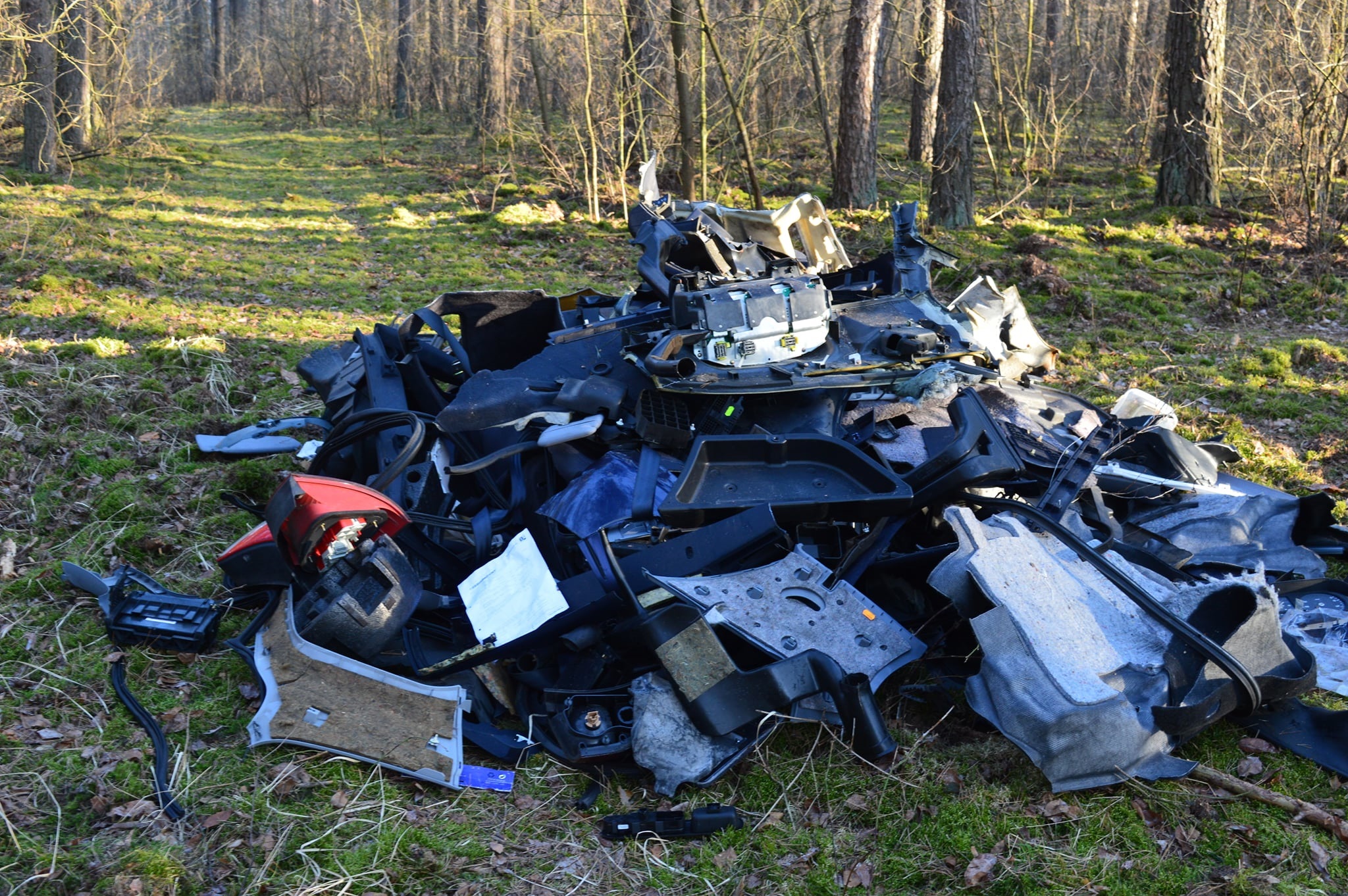 śmieci las sieraków  - Lasy Państwowe