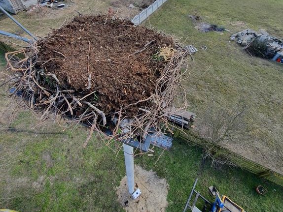 orzechowo gniazdo bocianie -  Sołtys Orzechowa Aleksander Warczygłowa