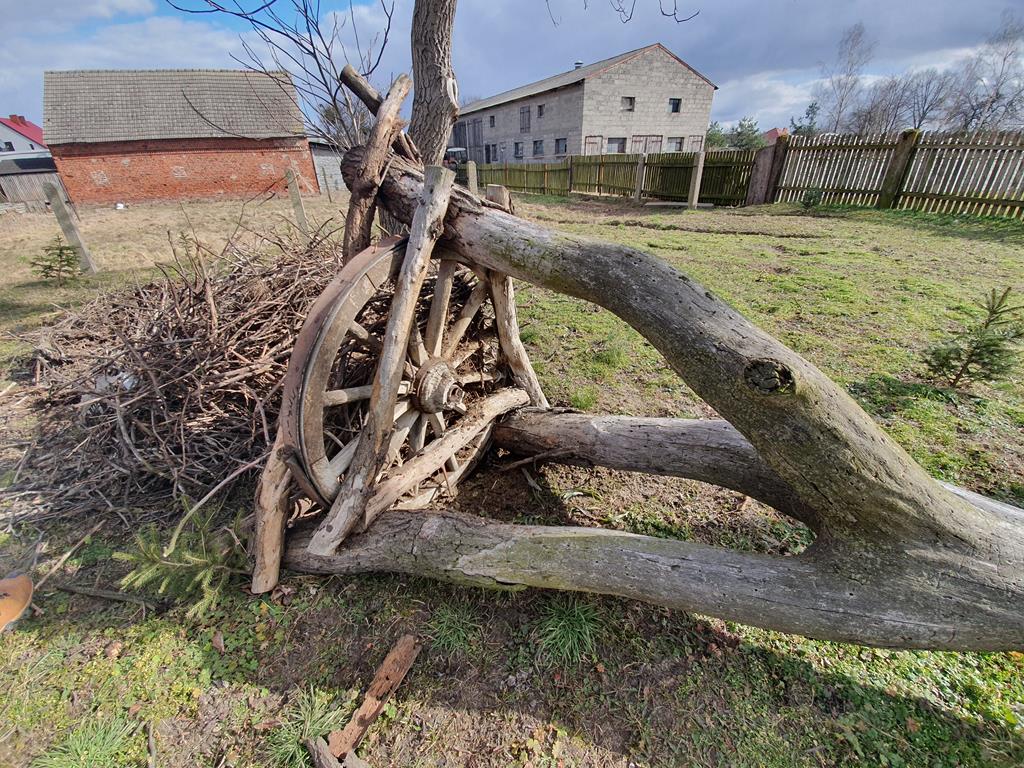 Sołtys Orzechowa Aleksander Warczygłowa