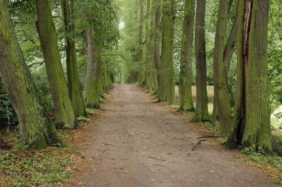 Ośrodek Kultury Leśnej w Gołuchowie  - Ośrodek Kultury Leśnej w Gołuchowie 