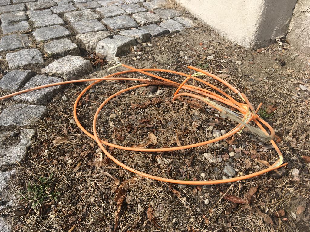 dominowo internet kabel - Rafał Regulski