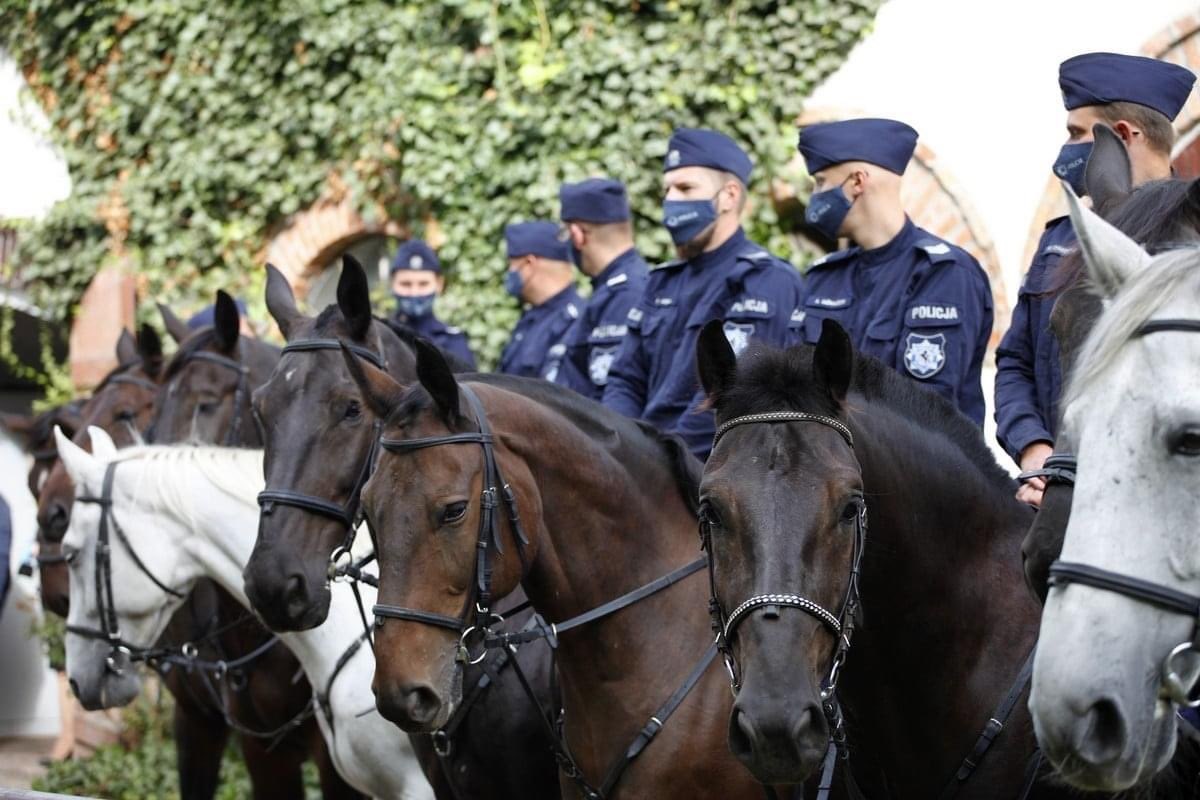 policja na koniach  - Wielkopolska Policja 